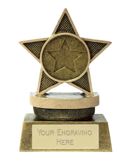 Small award with brass engraving plate