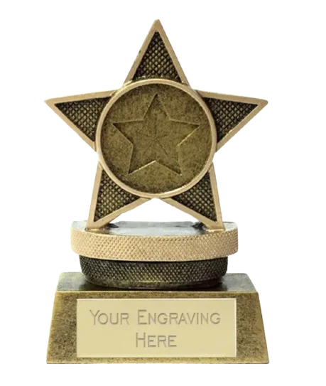 Small award with brass engraving plate
